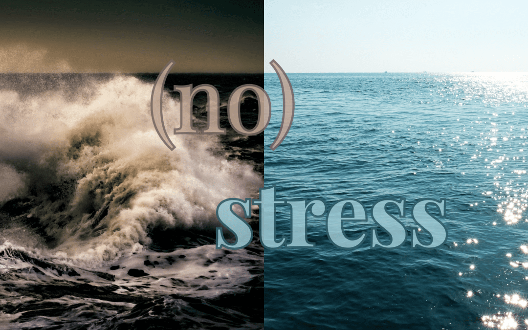 Stress : de l&rsquo;allié à l&rsquo;ennemi invisible, tout comprendre pour agir